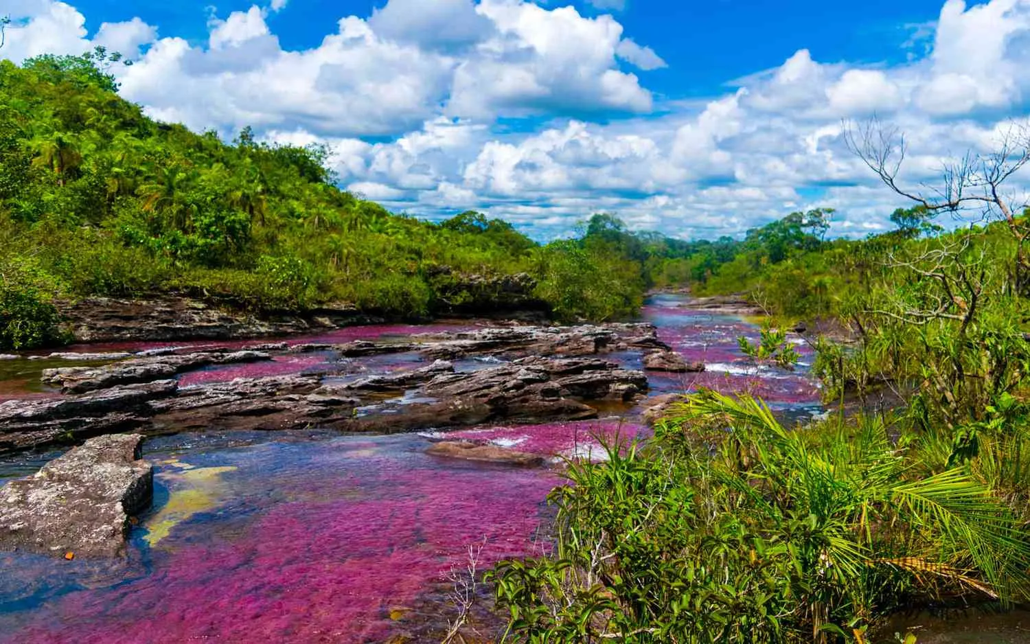 This River in Colombia Is a Liquid Rainbow You Have to See to Believe