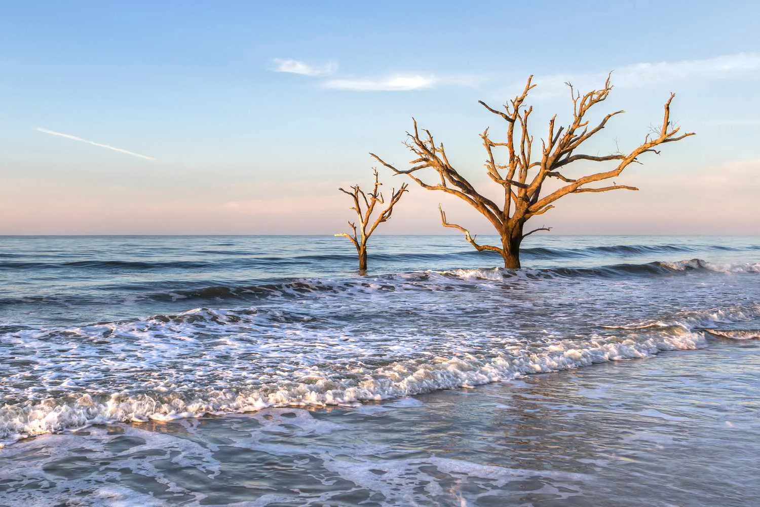 How to Plan the Perfect Trip to Edisto Island, South Carolina