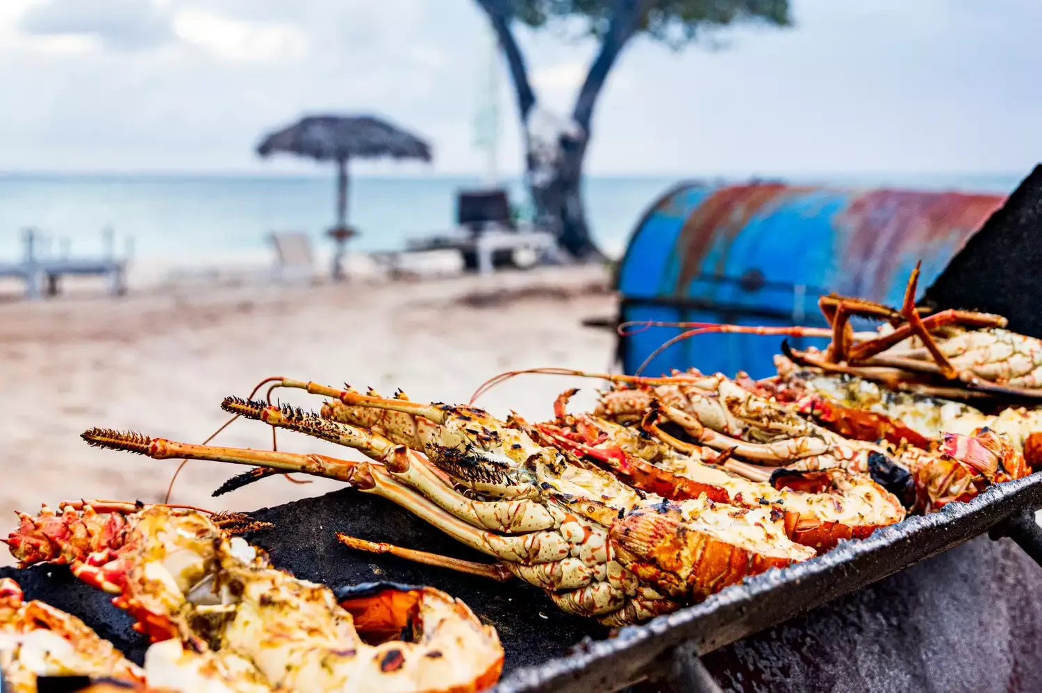 This Island Was Just Named the Caribbean's Best Culinary Destination — What and Where to Eat