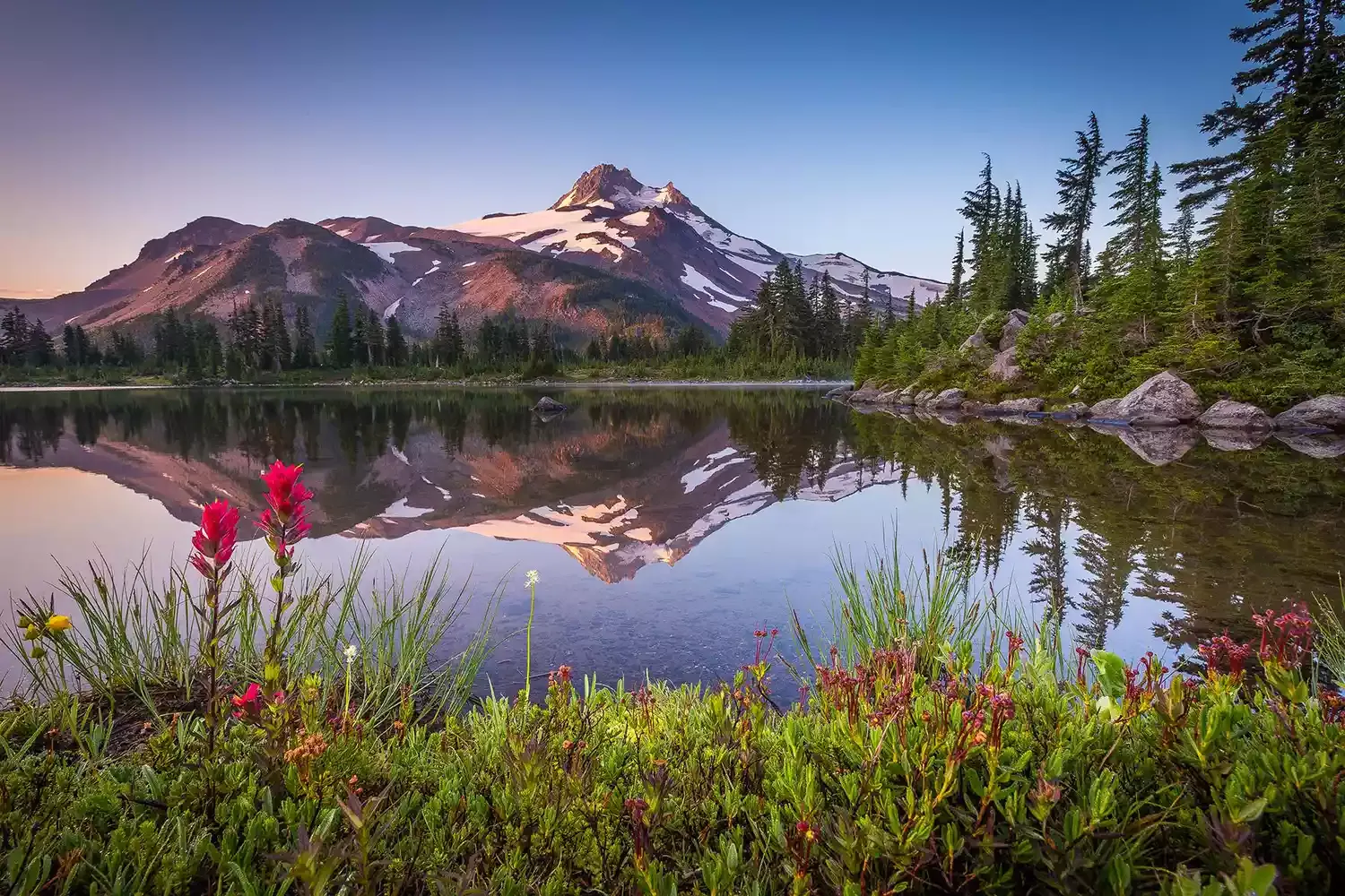 This U.S. National Forest Has 7 Major Volcanic Peaks, Ancient Tree Groves, and Beach Camping