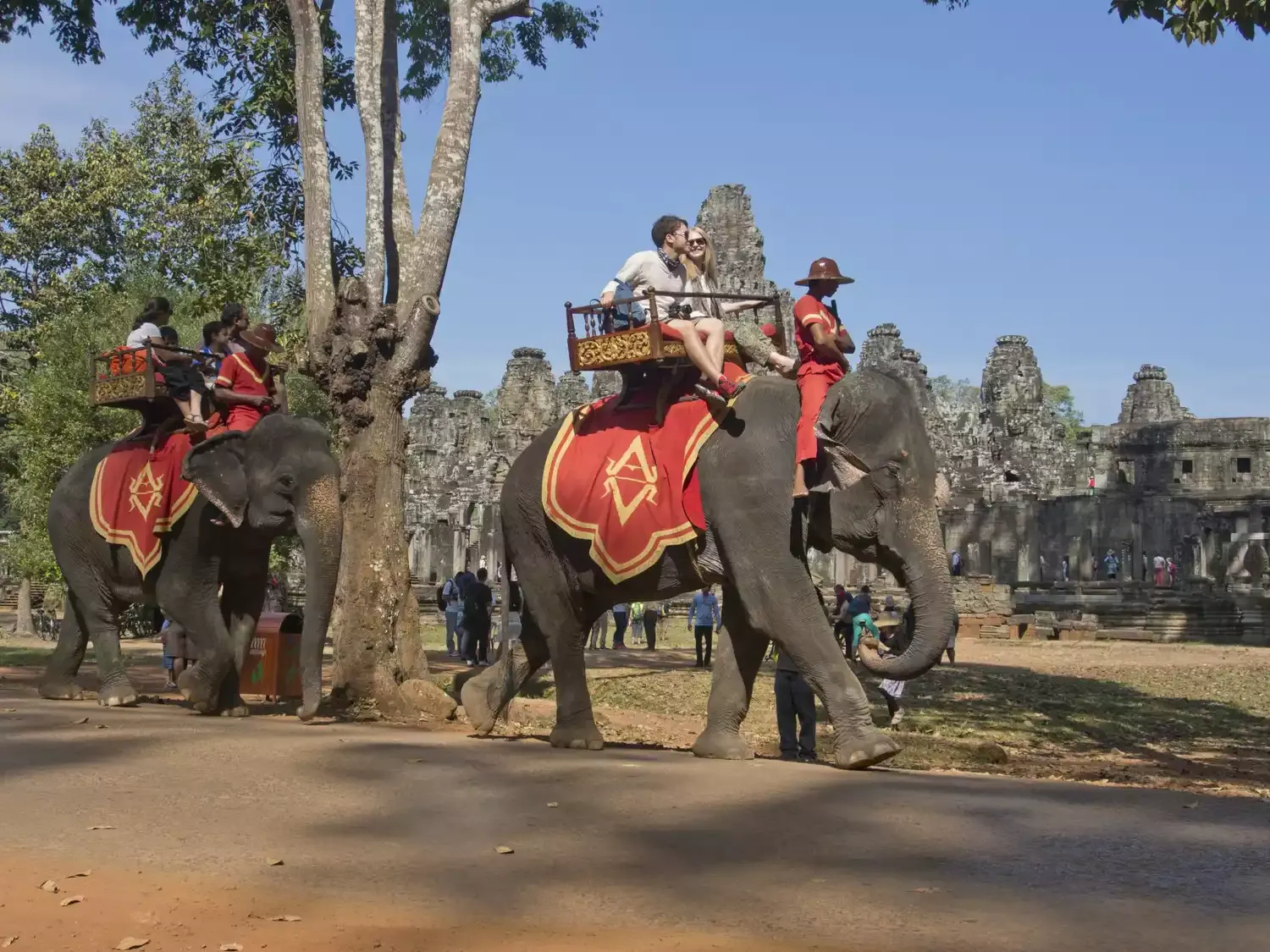 Elephant Rides Are Now Banned at Cambodia’s Angkor Wat (Video)