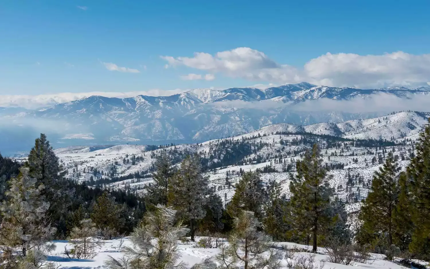 Amtrak Cascades Offers a Winter Wonderland Ride Through the Pacific Northwest