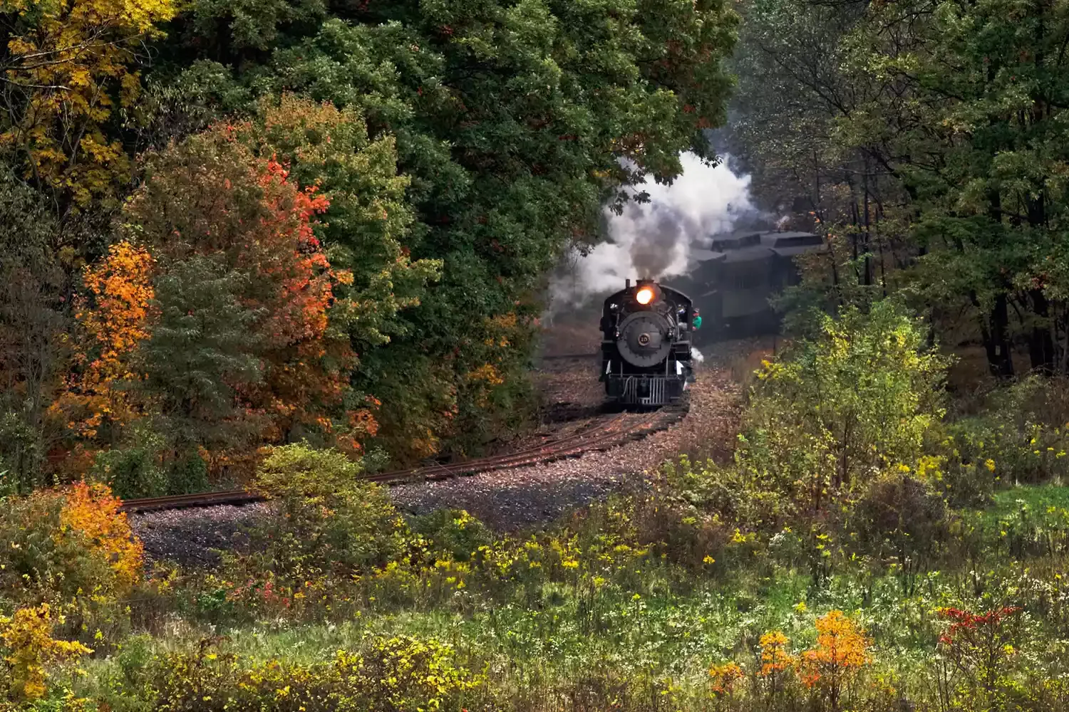 This Train Through Central Pennsylvania Is the Best Way to See Fall Foliage