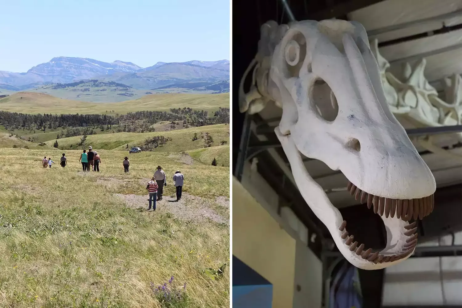 How to Take Your Family on a Dinosaur Digging Adventure in Montana