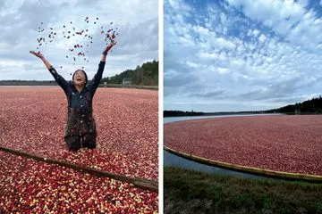 What I Learned From Wading in an Ocean Spray Cranberry Bog