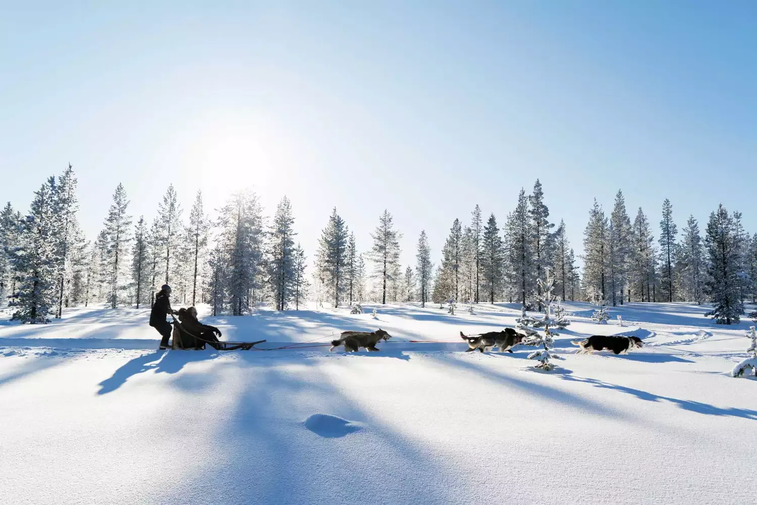 Saunas, Northern Lights, and Plenty of Winter Adventure in Finnish Lapland