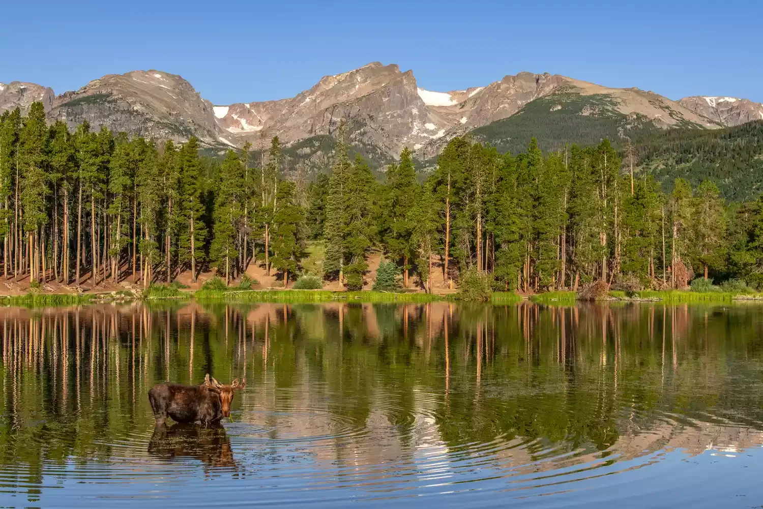 This National Park Is Known for Its High Elevation — and Offers Stunning Hikes, Diverse Wildlife, and More