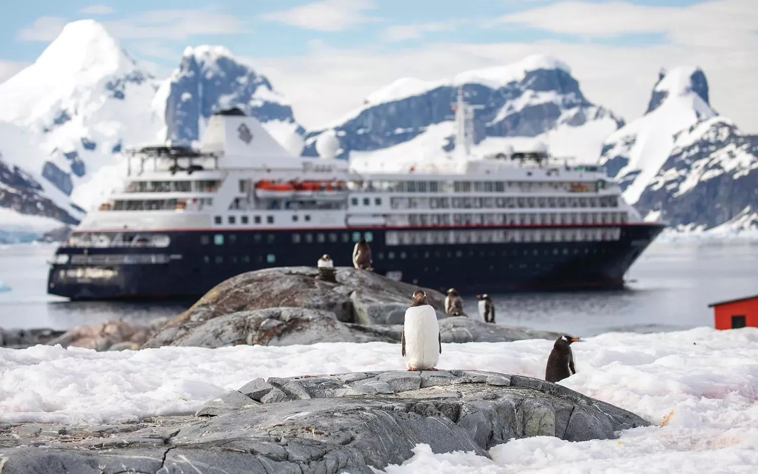 6 Trips to Visit Antarctica, From Photography Journeys to Luxury Ships