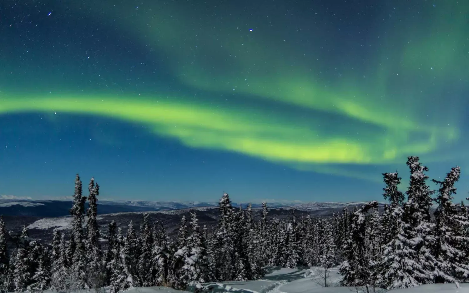 When and How to See the Northern Lights in Alaska