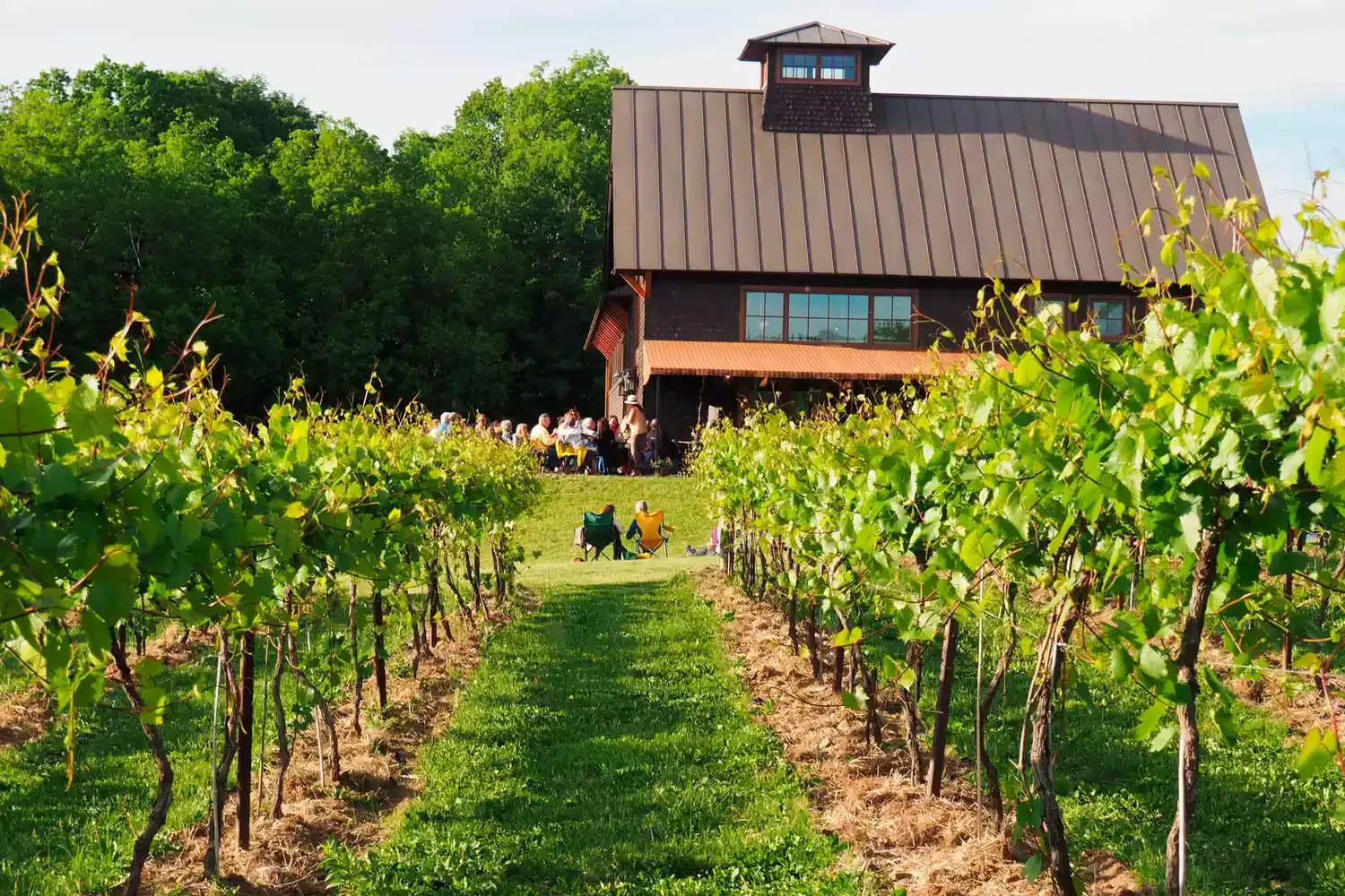 How Vermont Became New England's Natural Wine Destination