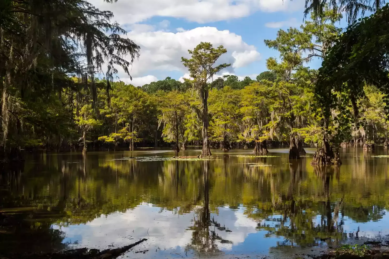 I’ve Lived in Texas All My Life, and These Are My Favorite Hidden Gems in the State