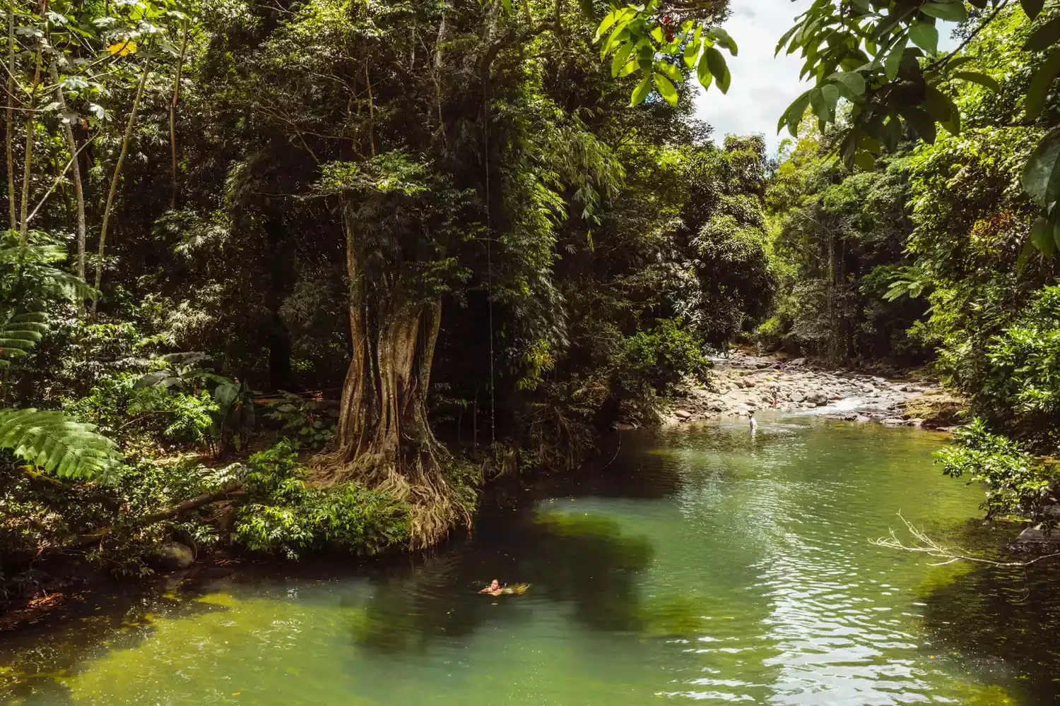 These Natural Swimming Pools in Puerto Rico Are an Instagram Dream