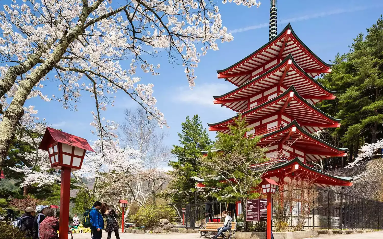 The Best, Worst, and Most Affordable Times to Visit Japan