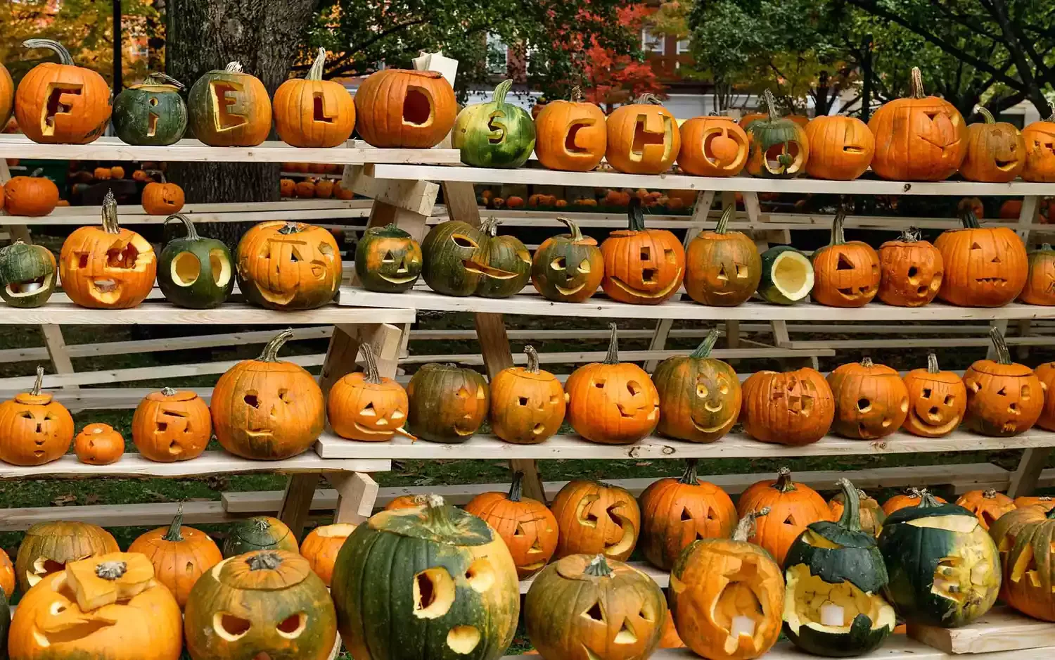 The Best Fall Festival in Every State