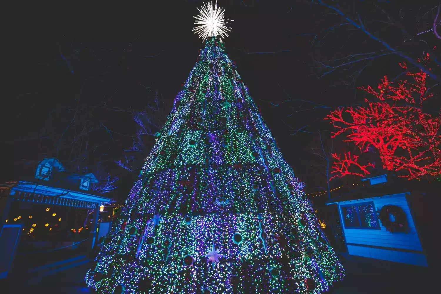 This Midwest Destination Is America's 'Christmas Tree City' — How to Visit