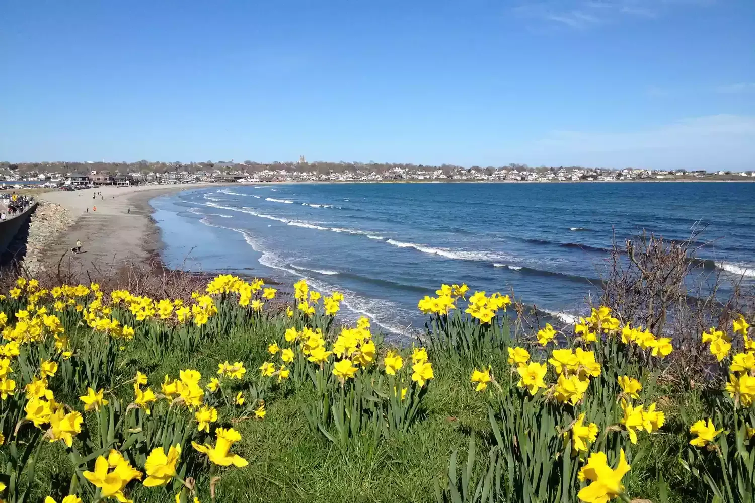 This East Coast City Is Covered With More Than 1 Million Daffodils Every Spring — Here's When to See Them in Bloom