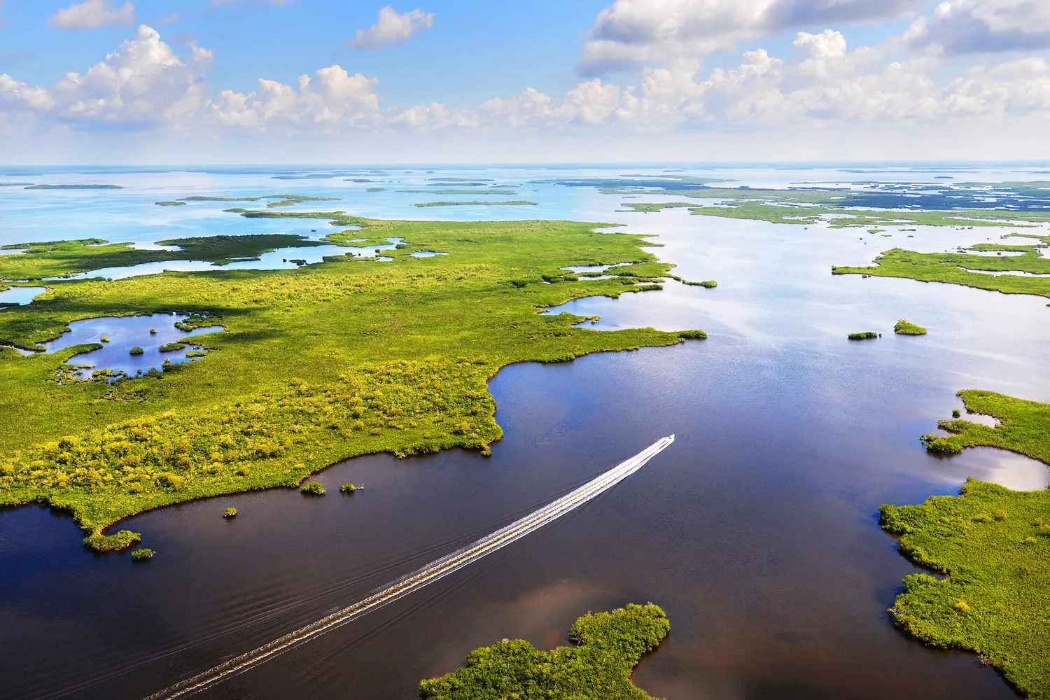 How to Plan the Perfect Trip to Everglades National Park