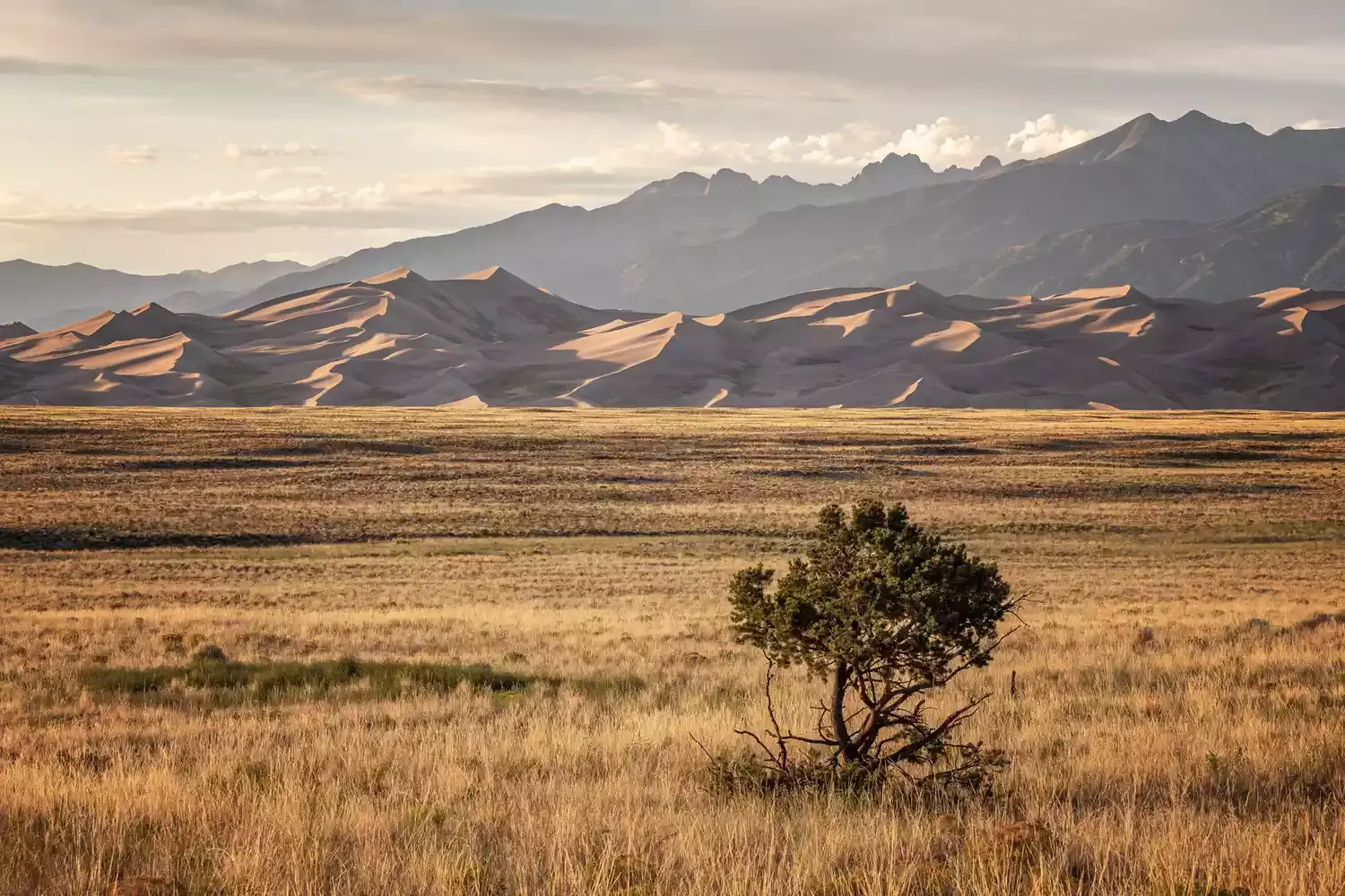 This Lesser-known Colorado National Park Is Home to the Tallest Sand Dunes in North America