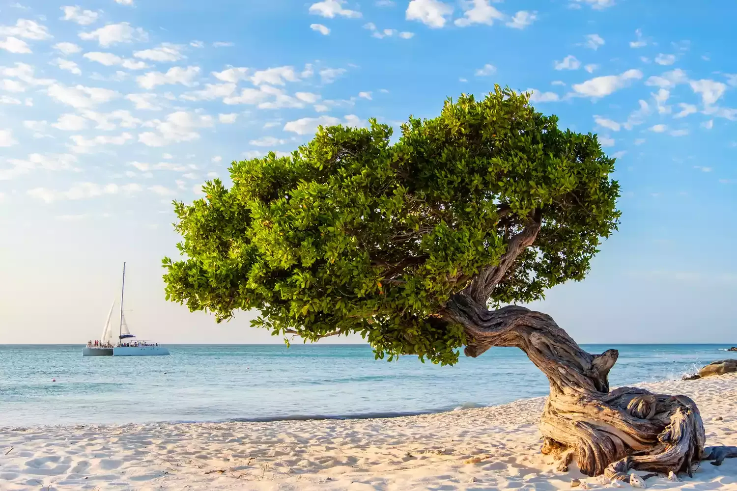 How to Plan the Perfect Trip to Aruba