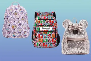 The 13 Best Backpacks for Disney Vacations in 2024