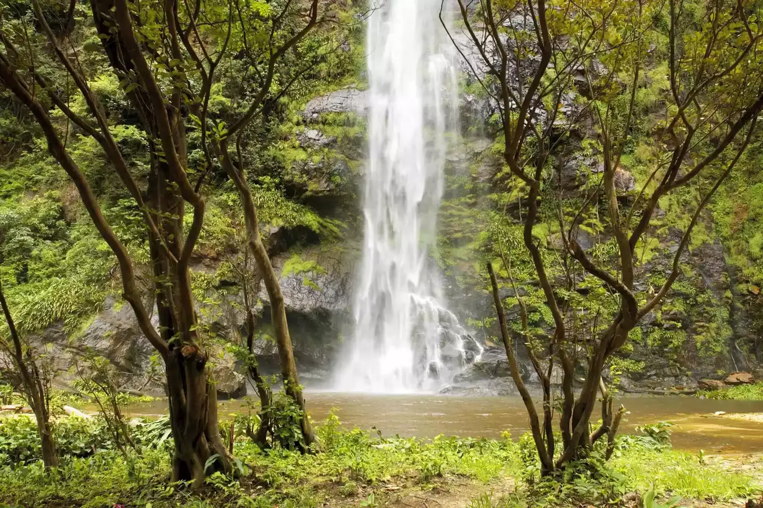 A Transformative Trek to West Africa's Highest Waterfall