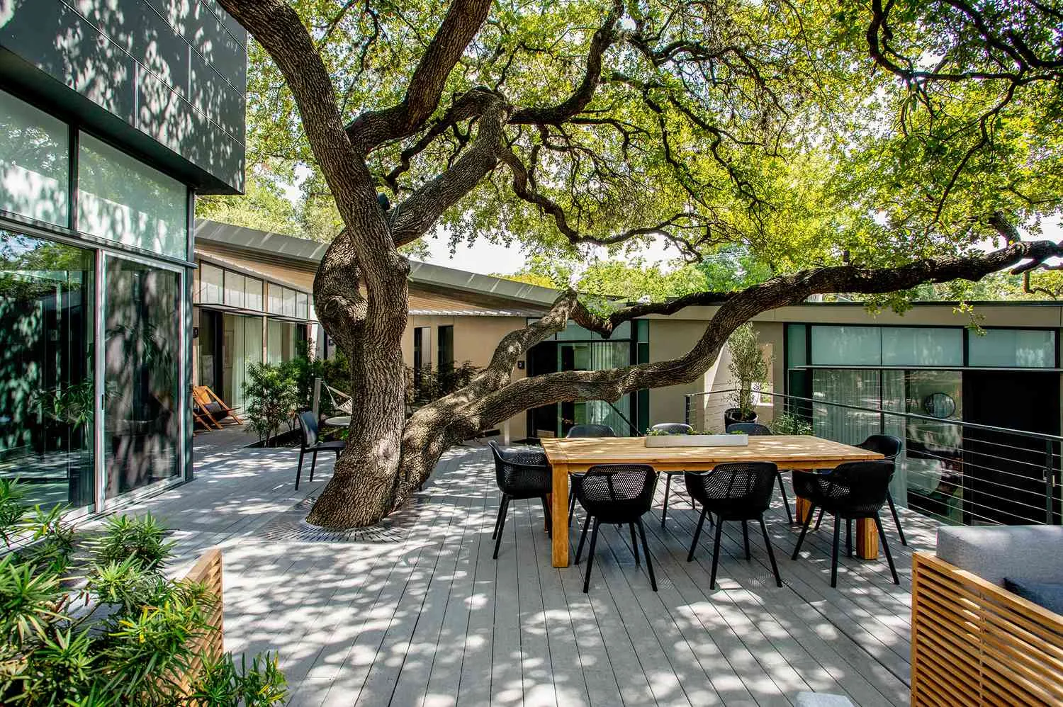 This New Hotel in Austin, Texas, Feels Like a Chic Tree House for Grown-ups