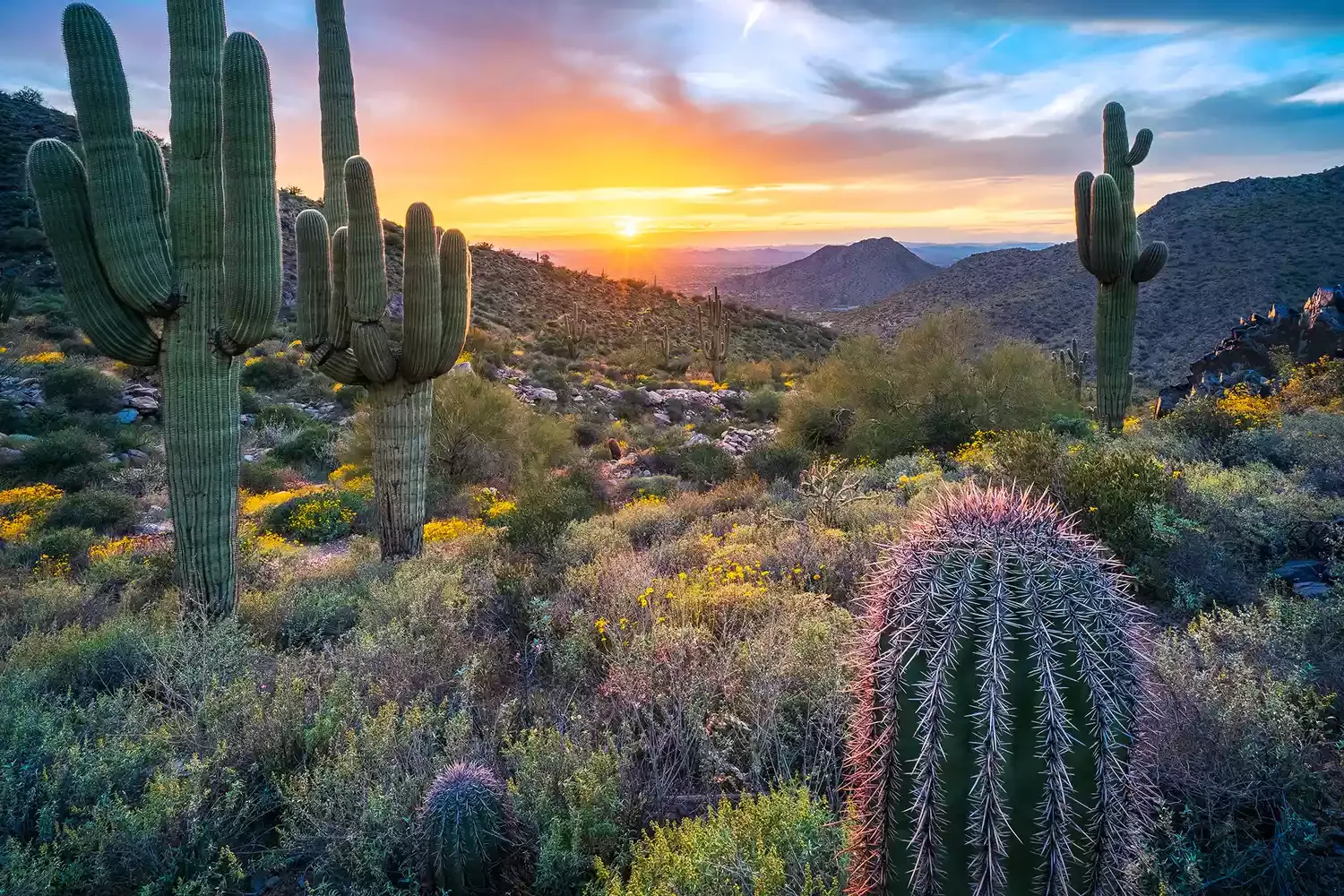 This Southwestern State Has World-famous Landscapes, Luxury Spas, and Award-winning Food and Wine