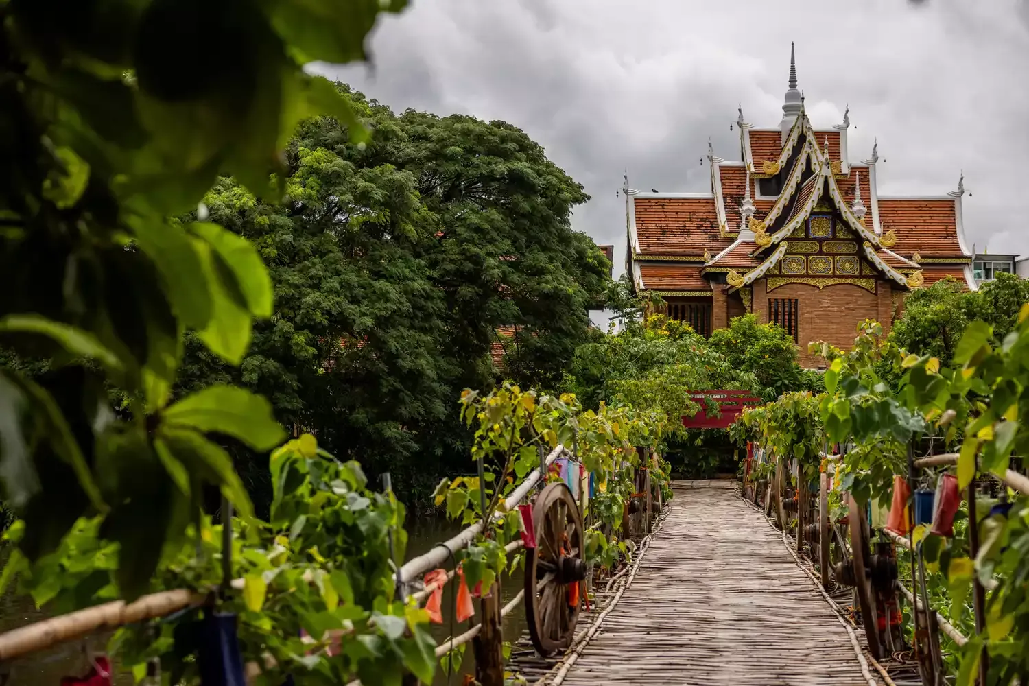 Why You Should Visit Thailand in the Off-season