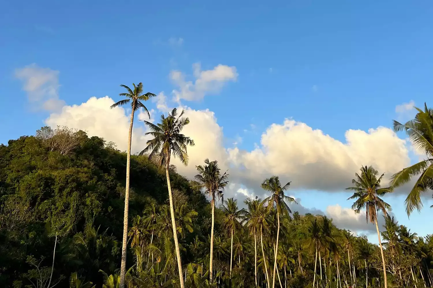 I Traveled to Bali's 'Black Magic Island' — Despite All the Warnings of Evil Spirits