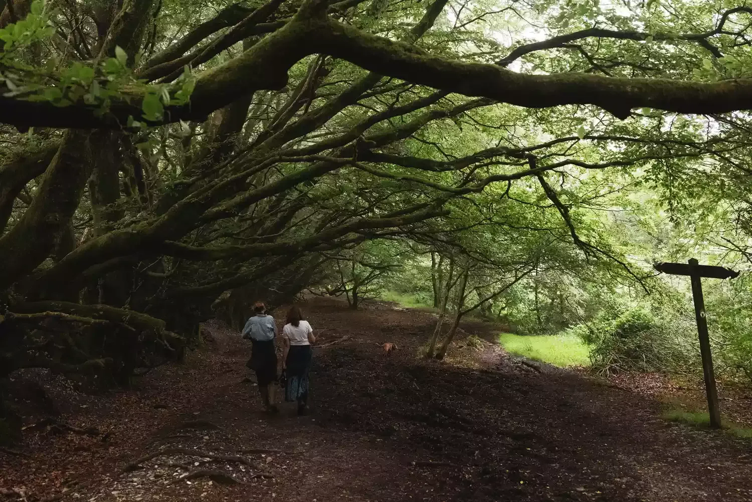 This Ancient Pilgrimage Route in Rural England Passes Charming Villages, Wild Natural Landscapes, and a 14th-century Pub