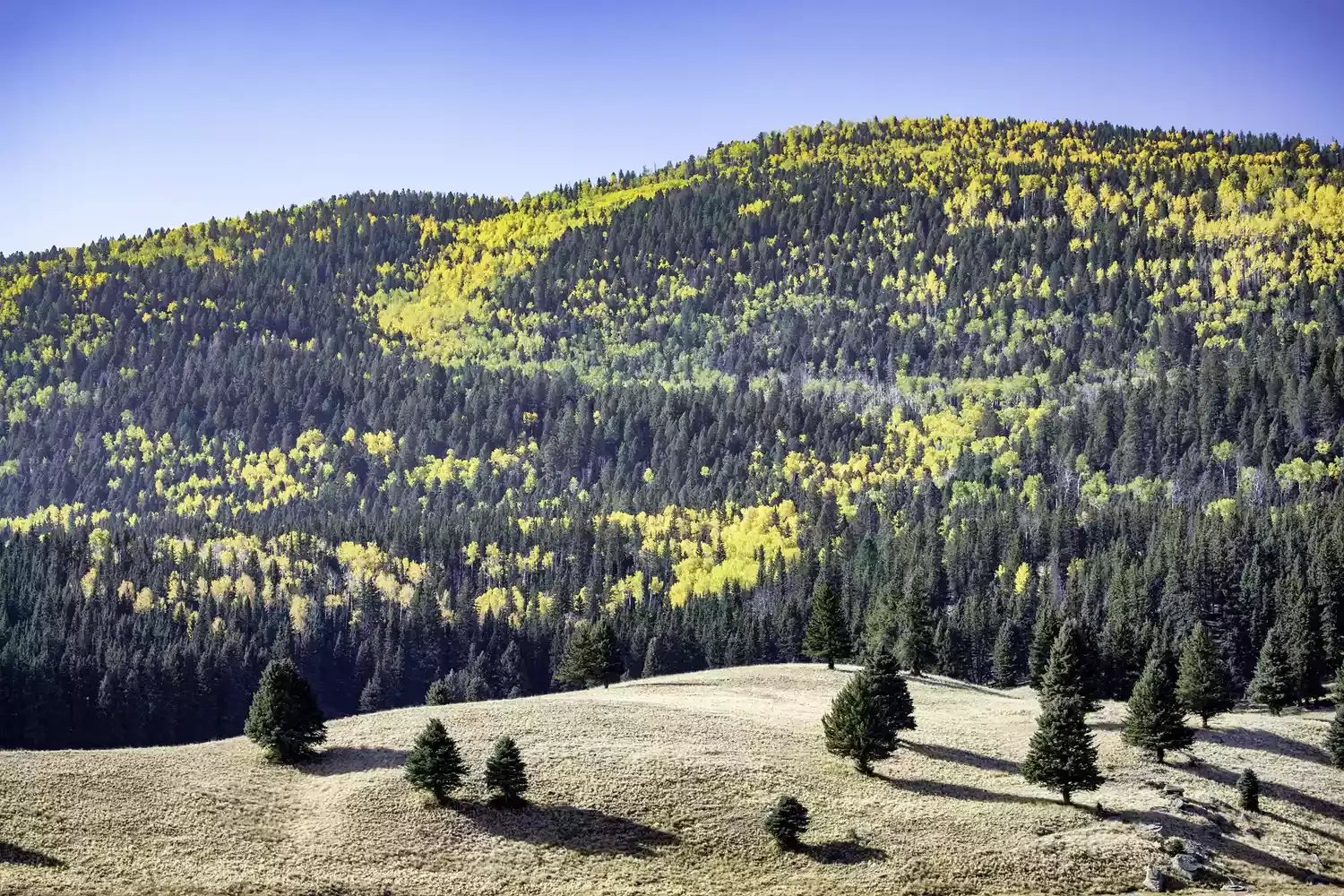 This Small Town in New Mexico Is Hiding 3 National Parks and Sites — Plus Ancient Ruins and a Volcanic Caldera