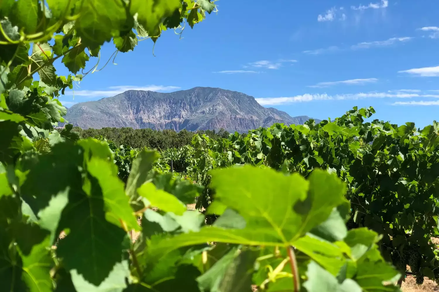 This Under-the-radar Region Near Zion National Park Is Hiding a Fantastic Wine Trail You've Never Heard Of