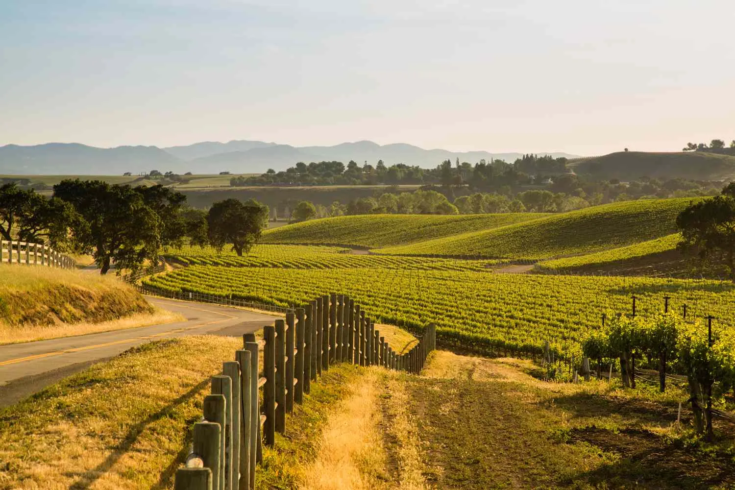 This Must-Visit California Region Has World-Class Wine, Glamping, Horseback Riding, and Stunning Hikes