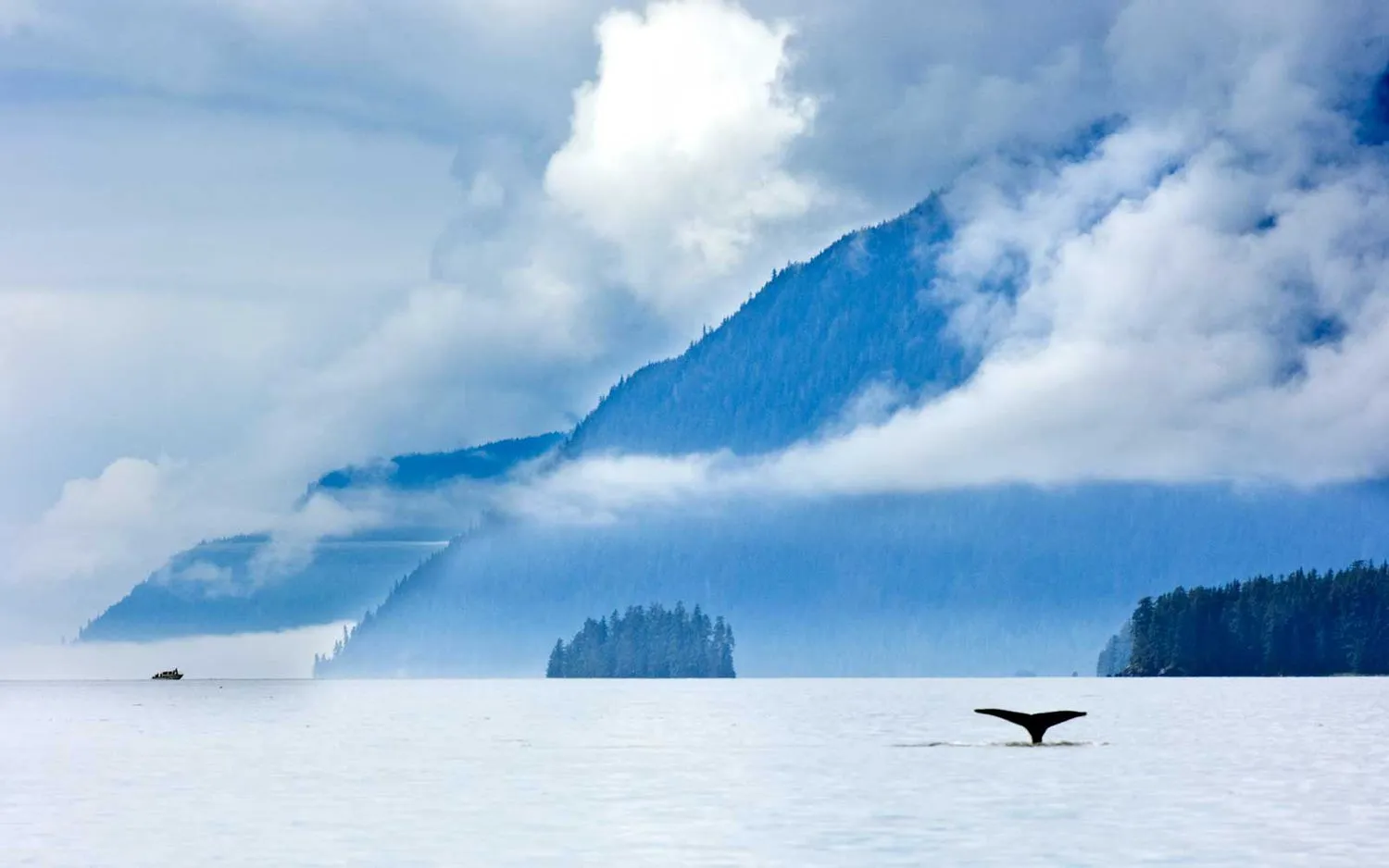 This 'Alaskan Explorer' Cruise Takes You Whale-watching, Wandering Seaside Towns, and Sailing Right Through Stunning Glacier Bay