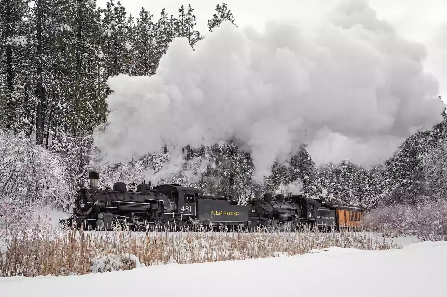 This 'Polar Express' Train Is One of the Most Festive Ways to Celebrate the Holidays — and It Goes Through a Stunning Mountain Town