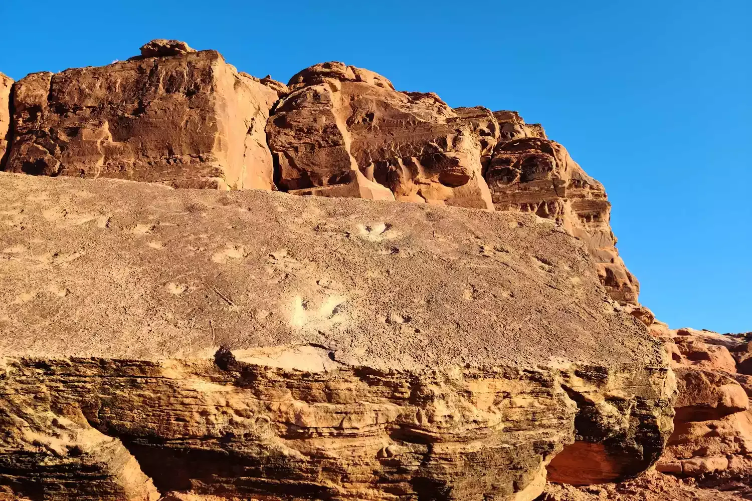 You Can Follow Real Dinosaur Tracks on This Incredible Utah Hike