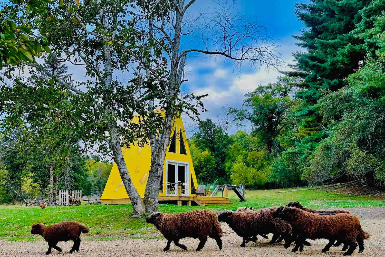 This Cheese-shaped Cabin in Wisconsin Is on an Off-the-grid Sheep Farm — How to Book a Stay