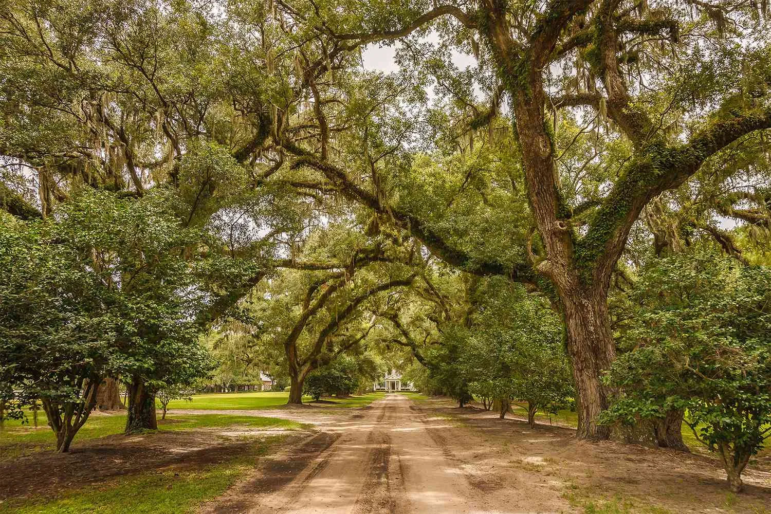 8 Charming Small Towns in South Carolina — From the Mountains to the Beach