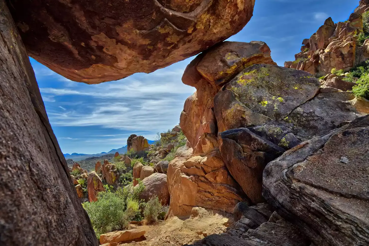 You Can Go Hiking, Dune Sledding, and Stargazing in North America's Largest Desert