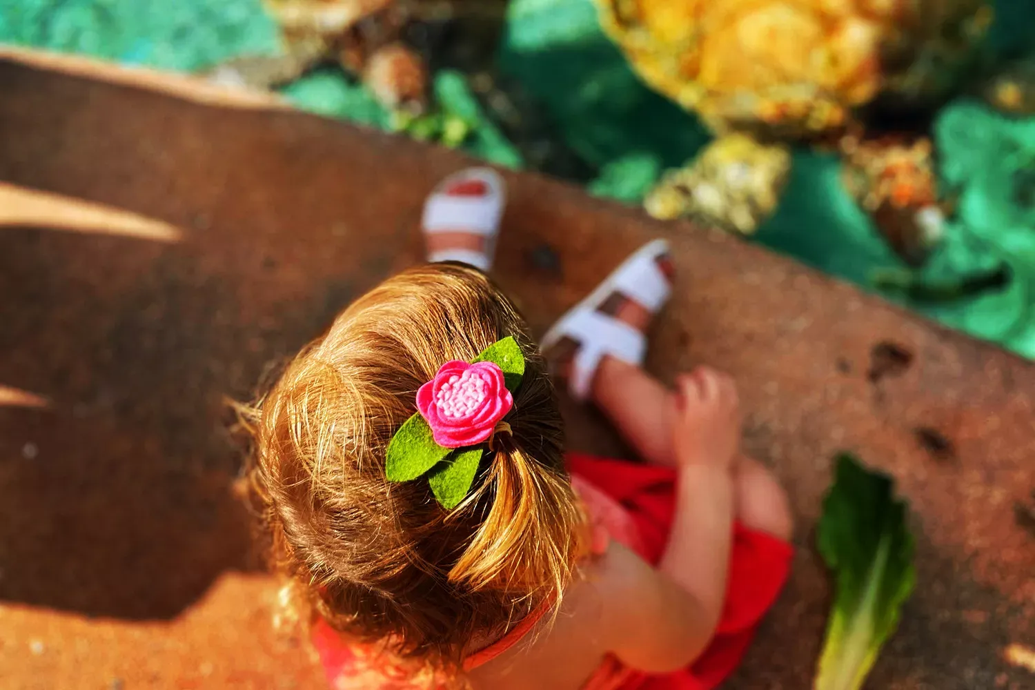 I Brought My Daughter to a Coral Nursery in the Bahamas — and She Fell in Love With the Ocean