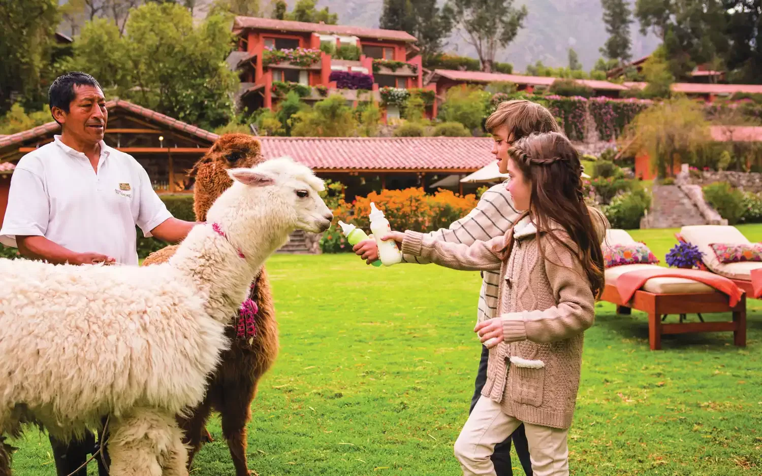 You Can Feed Adorable Baby Alpacas at This Hotel In Peru