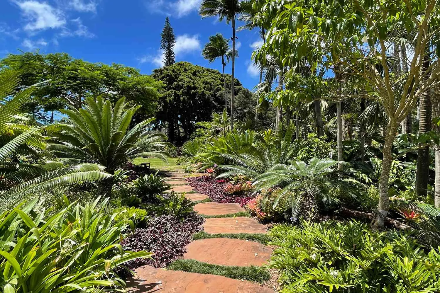 This Luxury Resort on a Gorgeous Hawaiian Island Offers the Perfect Wellness Retreat — Calming Horse Therapy Included