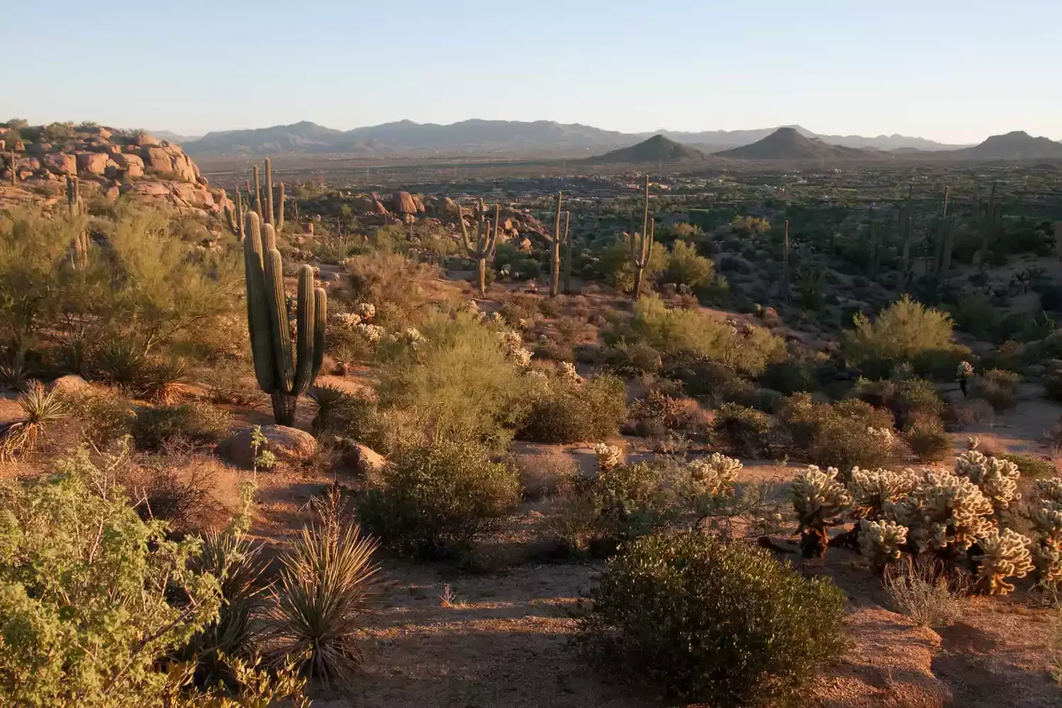 9 Best Hikes in Scottsdale and the Surrounding Area