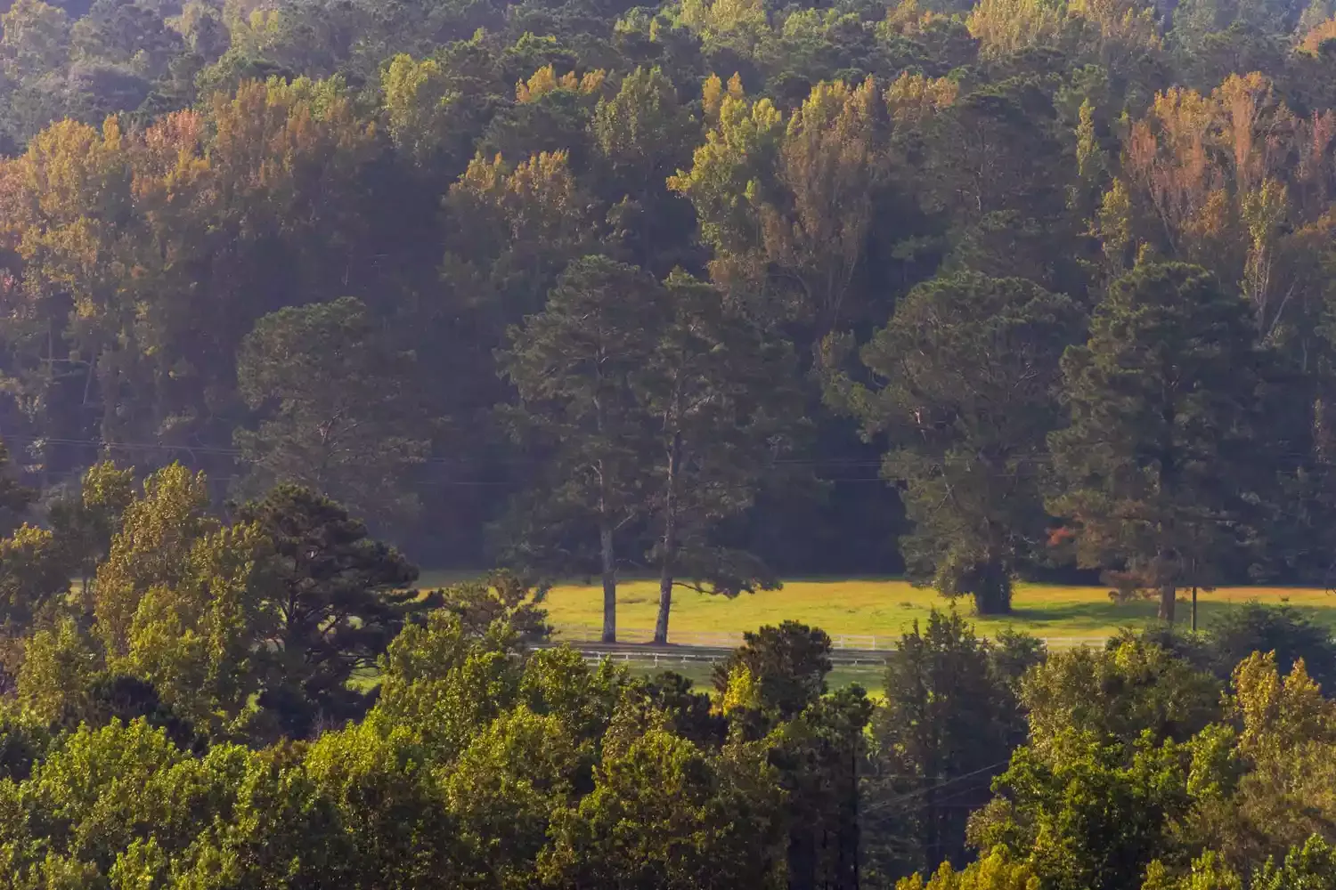 This Small Georgia Town Is Less Than 3 Square Miles – but It's Home to the World's Largest Human-made White-sand Beach