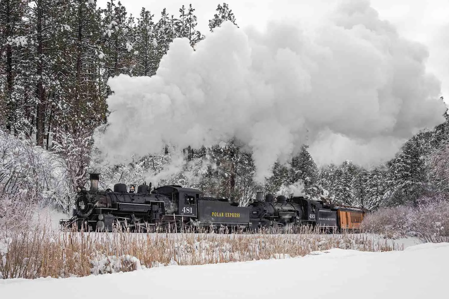 I Went on the Iconic 'Polar Express' Train Through the Mountains With My Toddler — and Now I Want to Do It Every Year