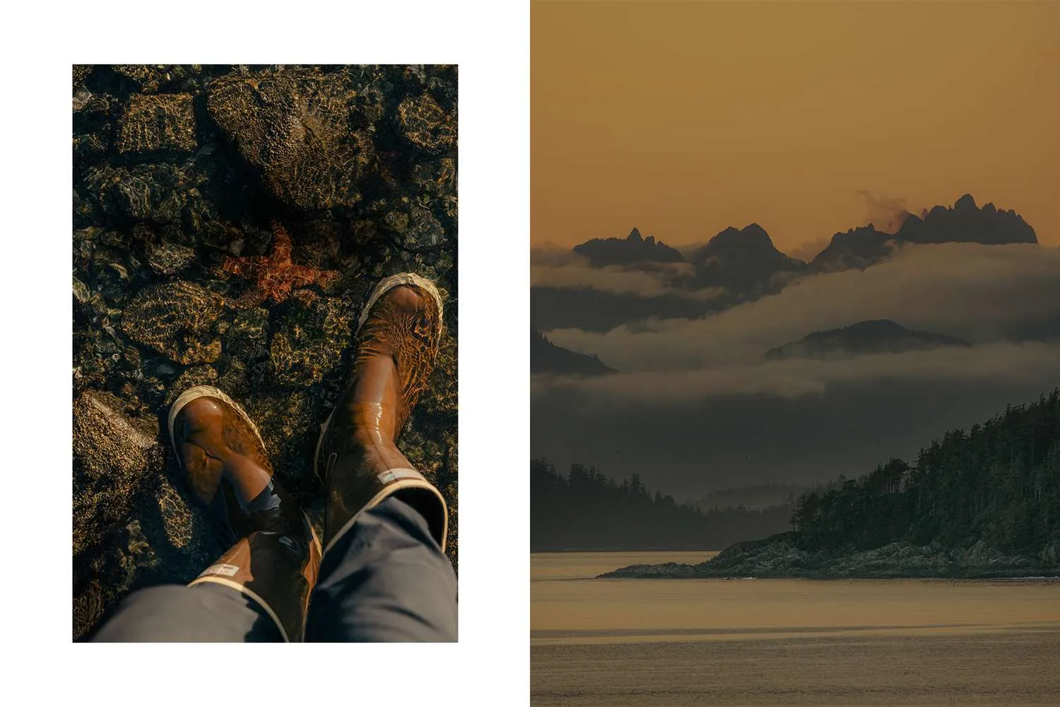 Vancouver Island's Magical Tide Pools Are Teeming With Stunning Marine Life — Here's What It's Like to Visit