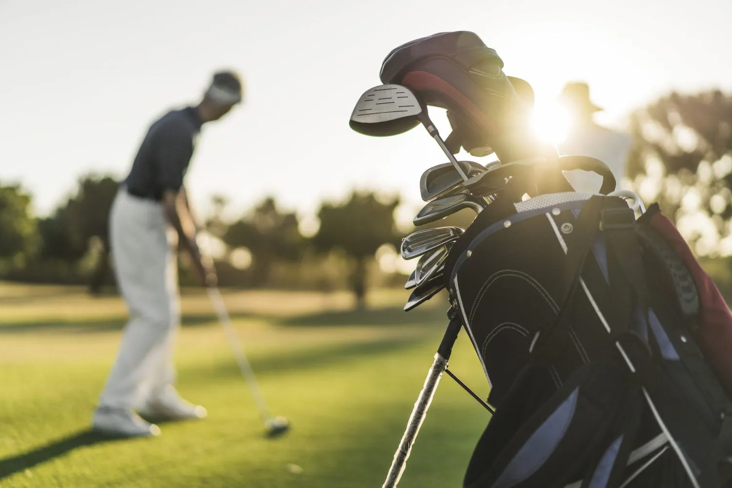 The Best Golf Schools Across the U.S.