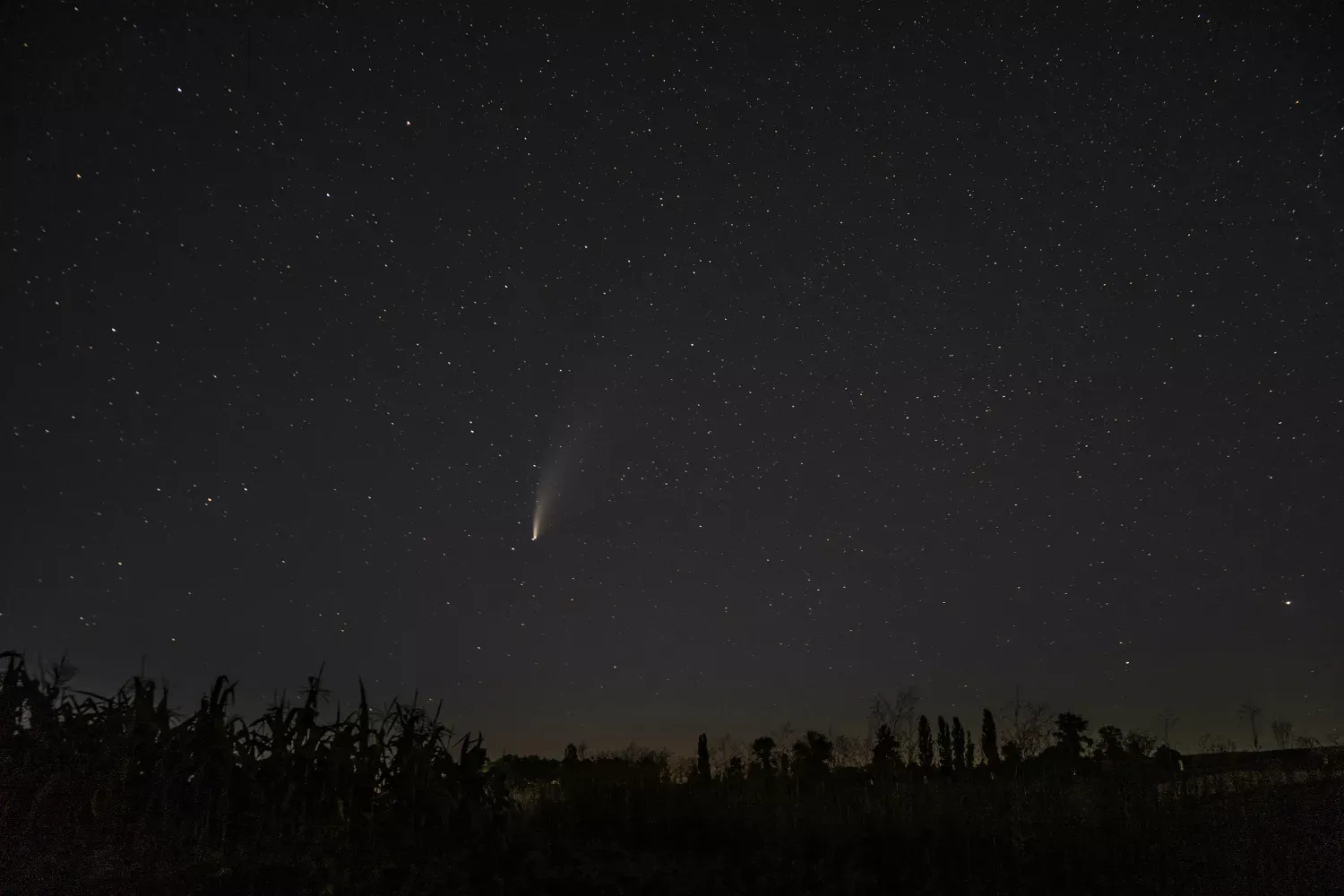 See a Rare Comet, a Meteor Shower, Manhattanhenge, and More This Month