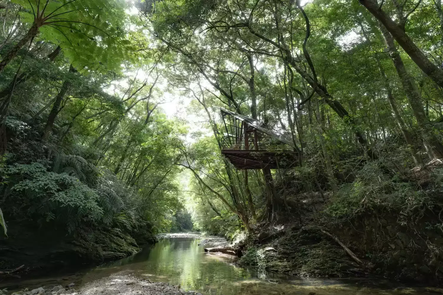 This Tree House Resort in Japan Has 360-degree Jungle Views — and a Slide From a Sauna Into the Genka River