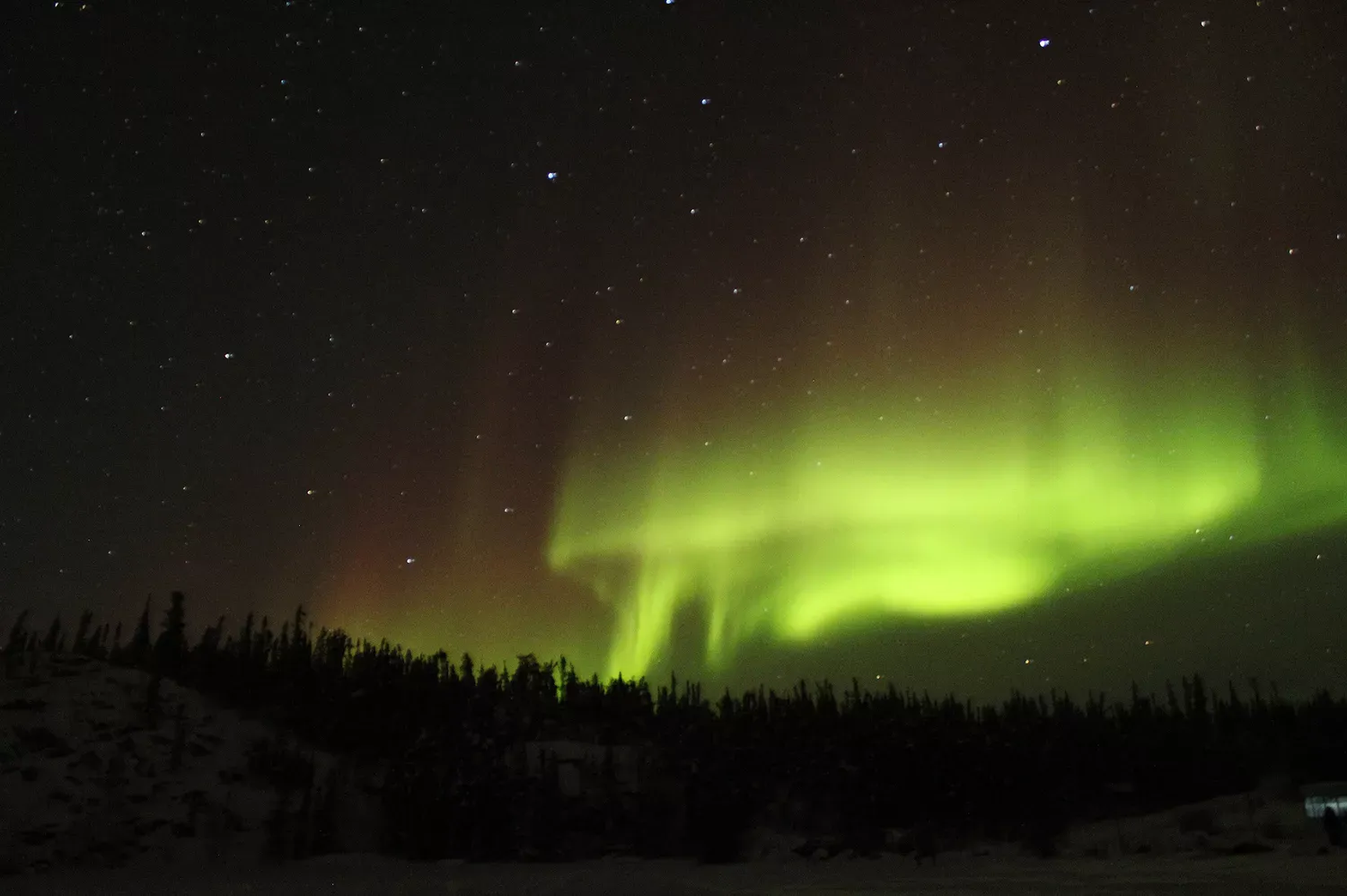 See the Northern Lights From Home With These Free Webcams in Alaska, Canada, Norway, and Finland